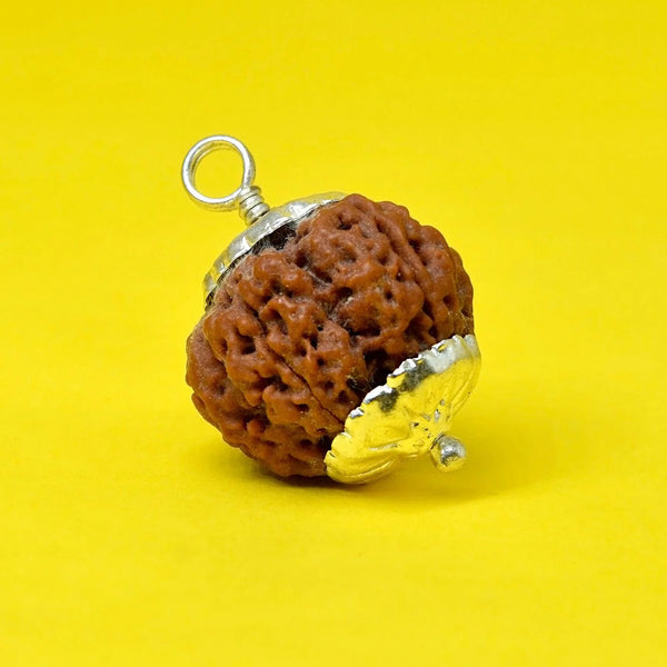 5 Mukhi Rudraksha Energy Pendant